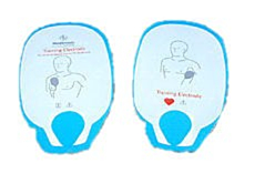 Physio-C. Lifepak 500/1000 ricambio placche didattiche  - 9066
