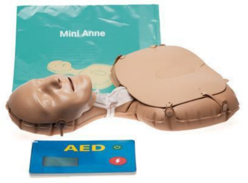 Laerdal Mini Anne Global