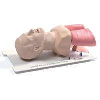 Trainer Laerdal per la gestione delle vie aeree negli adulti