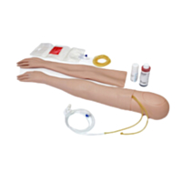 Kit di braccio femminile d'addestramento IV multivenous