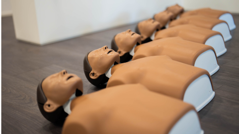 Laerdal Little Anne Impilabile rinnovata